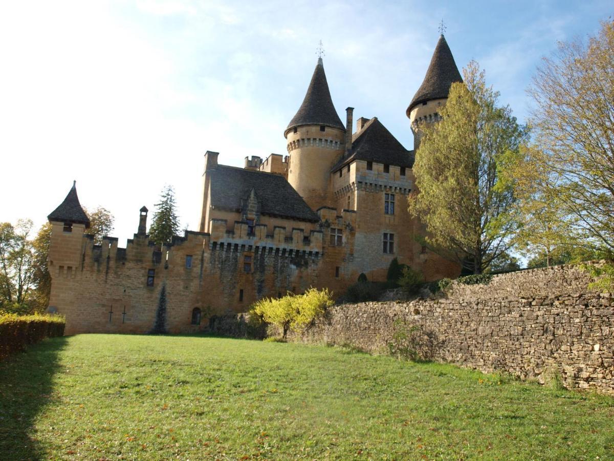 Cozy Cottage In Aquitaine With Private Swimming Pool Peyzac-le-Moustier Exteriér fotografie